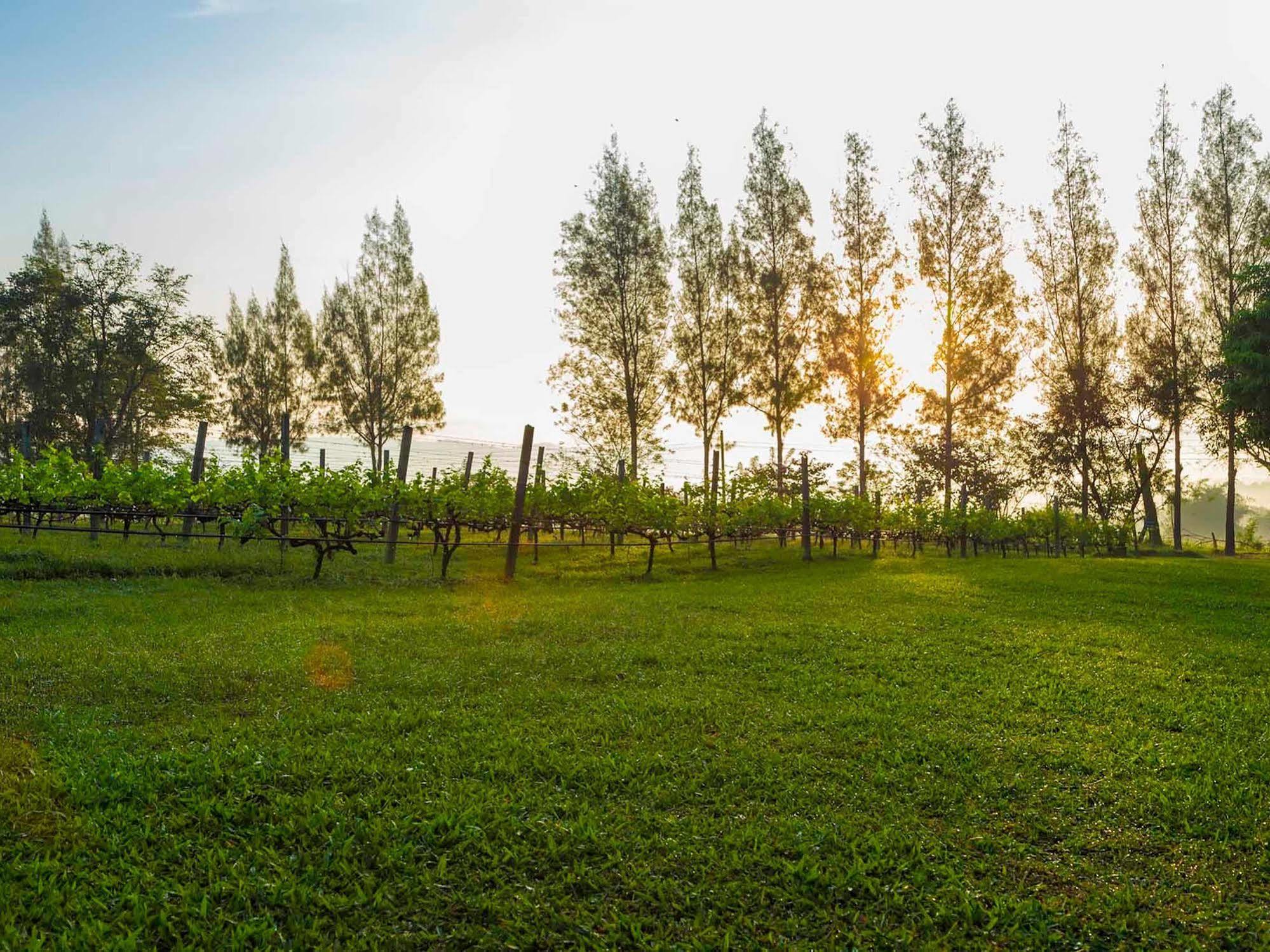 Village Farm And Winery Wang Nam Khiao Exterior foto